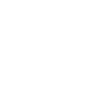 Bloom logo 512